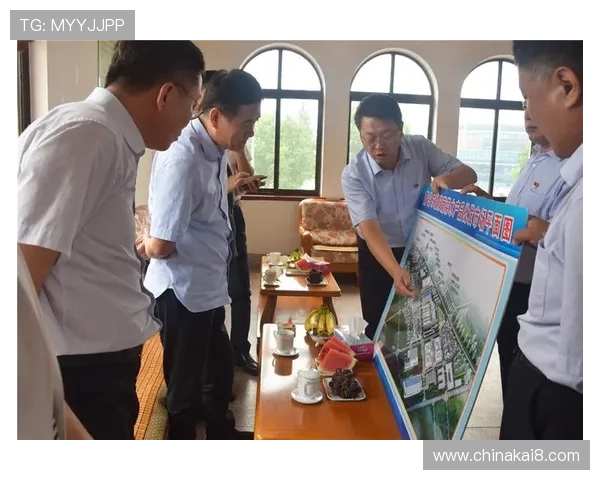 凯发集团在国际市场的拓展策略与成功经验分享