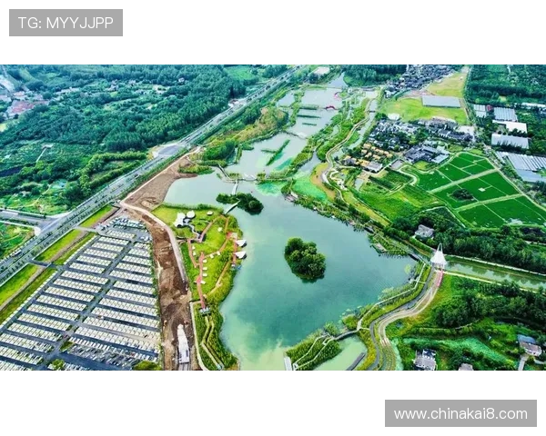 凯发k8国际娱乐大厅积极响应国家政策,推动绿色健康娱乐新风尚 凯发k8国际娱乐大厅积极响应国家政策,推动绿色健康娱乐新风尚