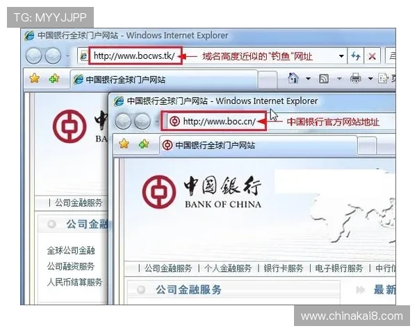凯发体育的网址安全登录指南，帮助用户避免钓鱼网站，确保个人信息和资金安全